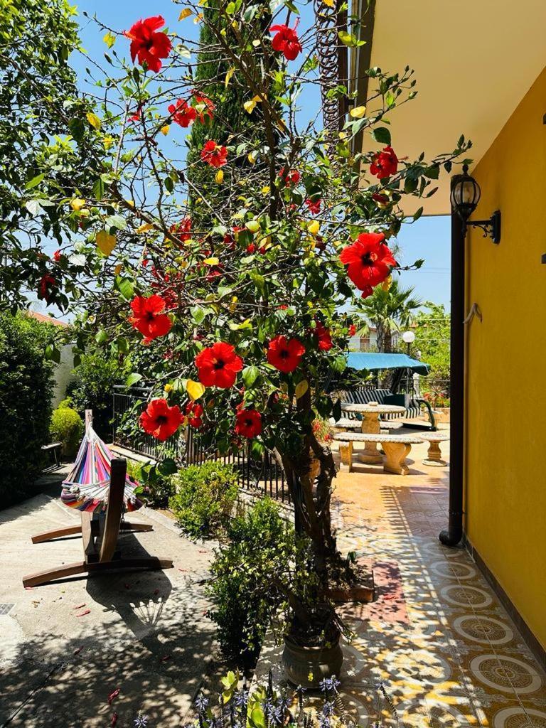 Villa Sicels - Agnone Beach - Syracuse Agnone Bagni Exterior photo